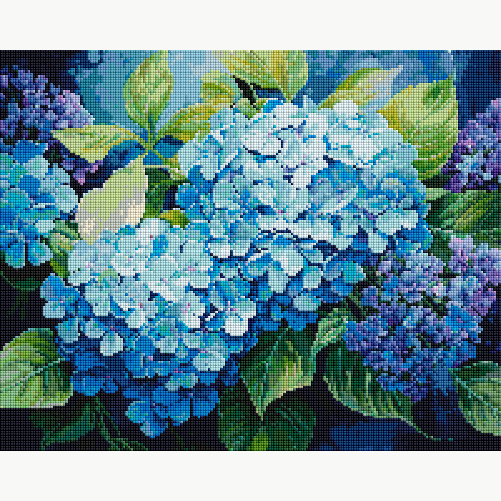 Blue Hydrangea