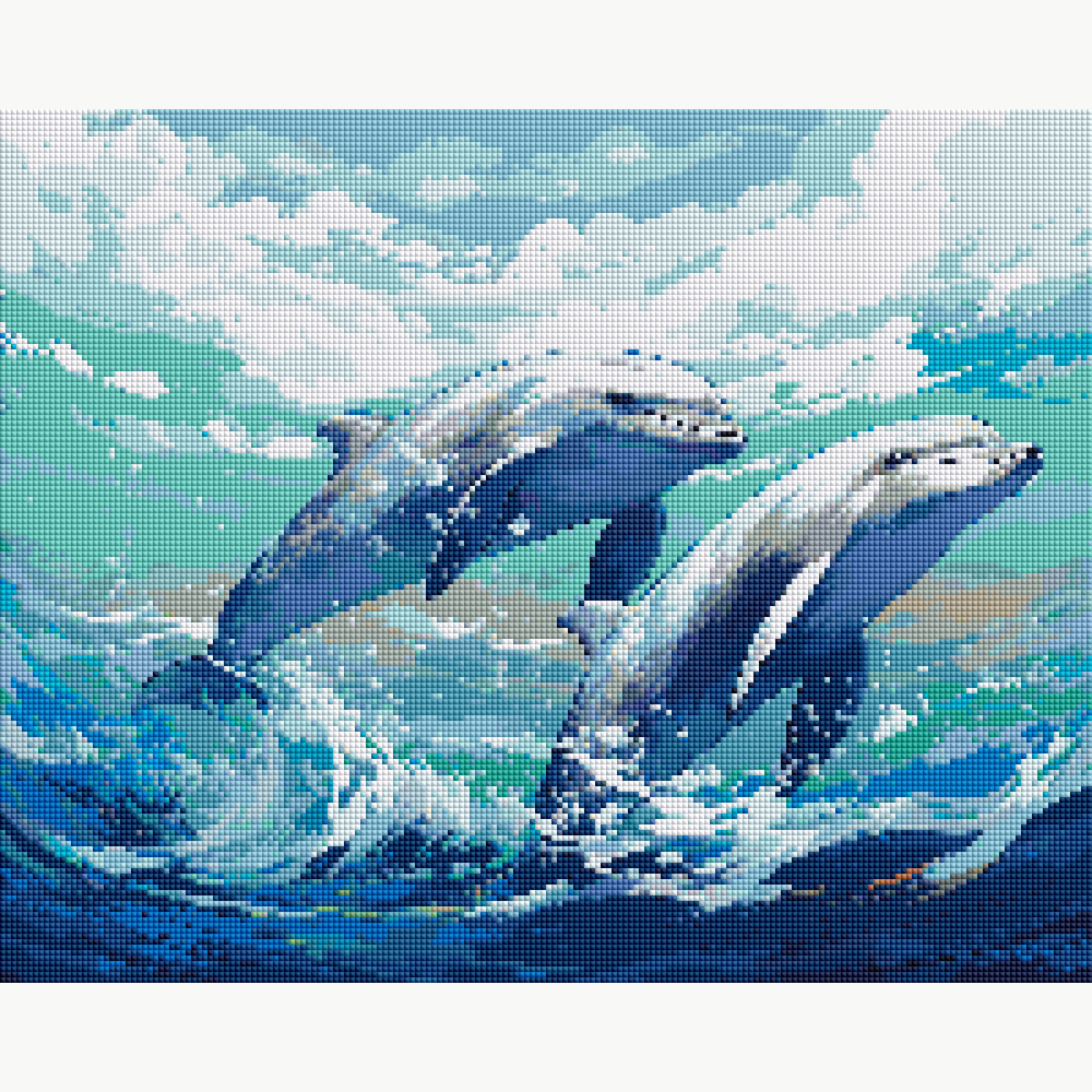 Dolphin Duo