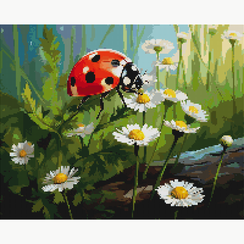 Ladybug's Haven