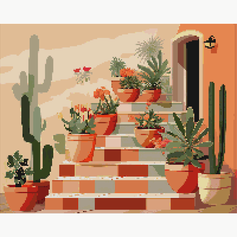 Cactus Terrace