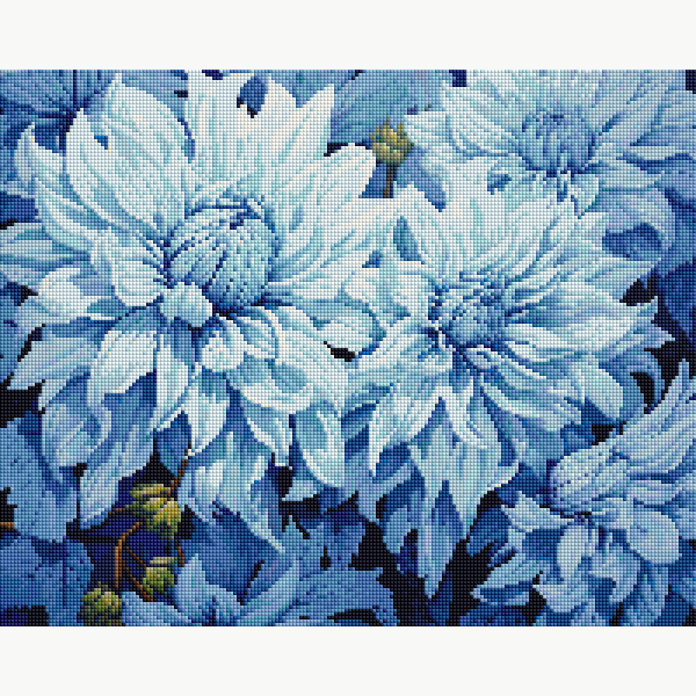 Azure Chrysanthemums