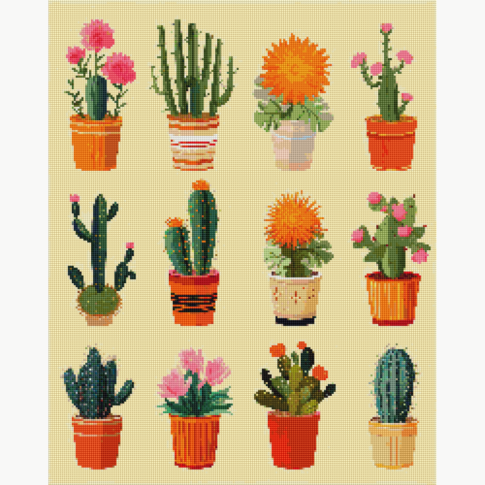 Cacti Collection