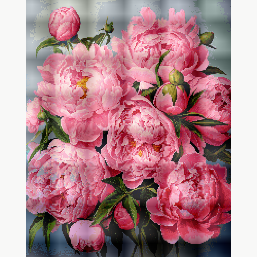 Pink Peony Perfection