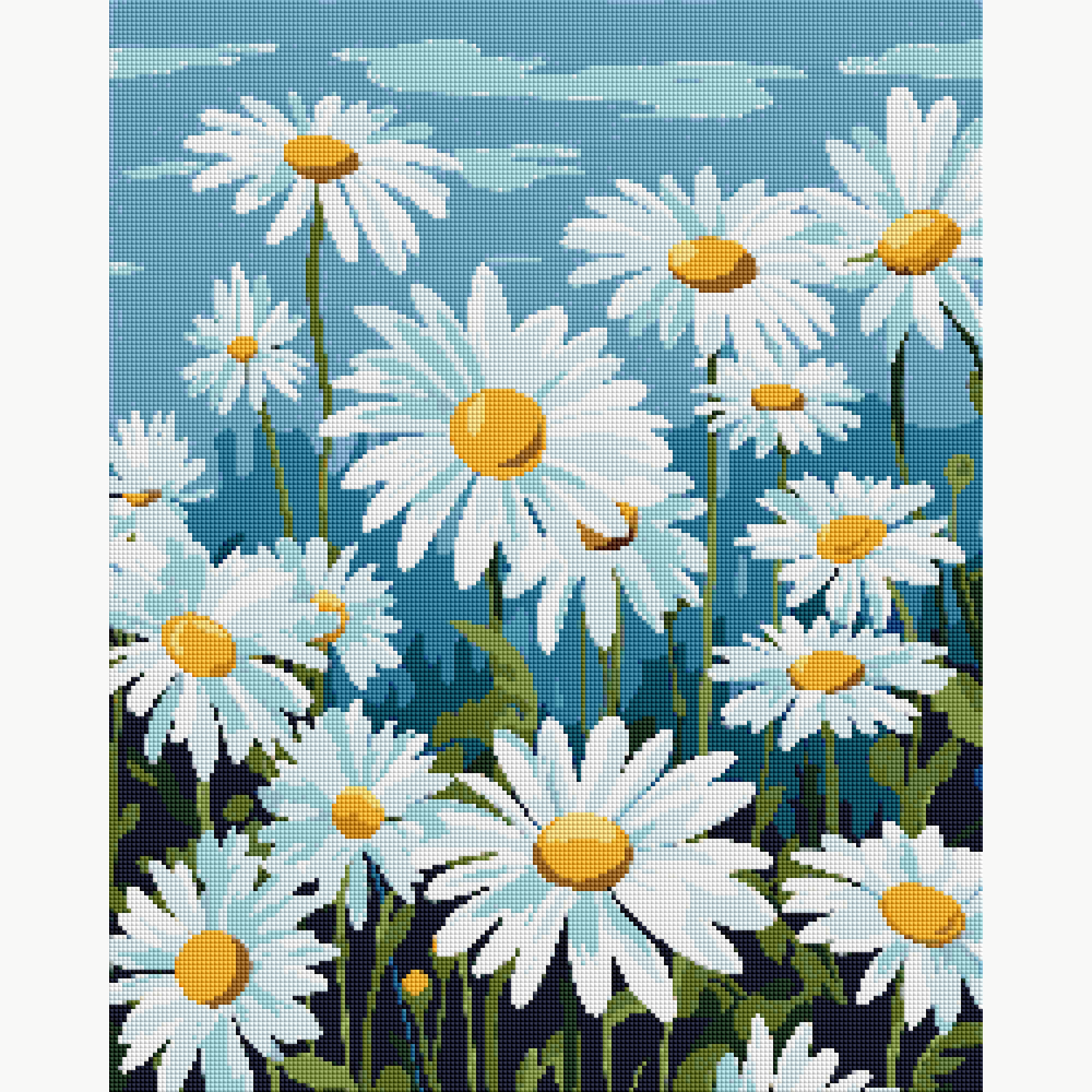 Elysian Daisy Field