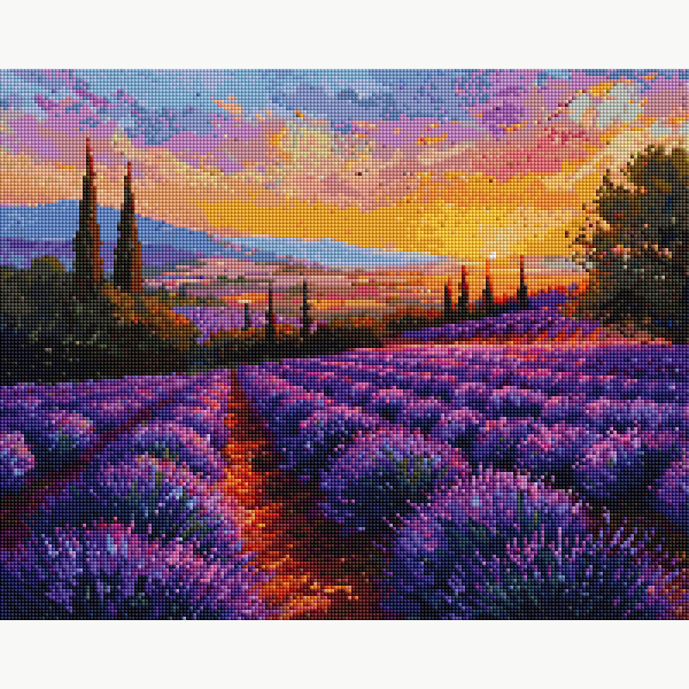 Endless Lavender Fields