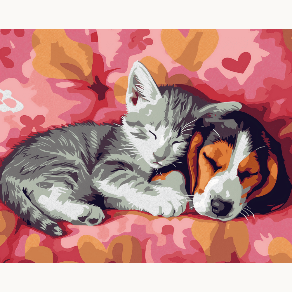 Dog and Cat