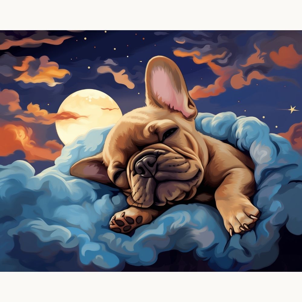 Sweet Dreams Frenchie